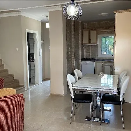 فيلة Baran Center