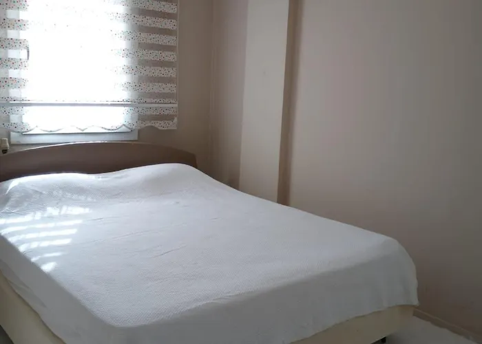 Villa Baran Center *